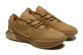 Nike LeBron 21 womens coffee